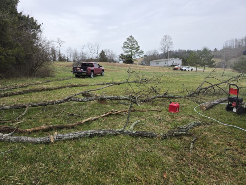 Gallery 03.27.2025 (24)