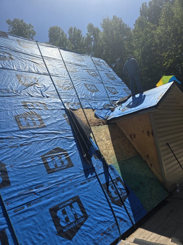 Gallery 03.27.2025 (36)