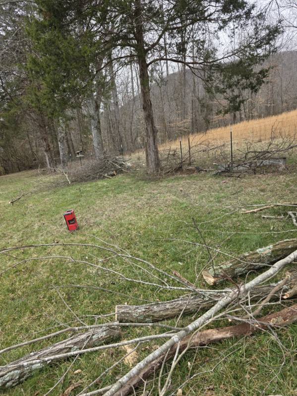 Gallery 03.27.2025 (47)