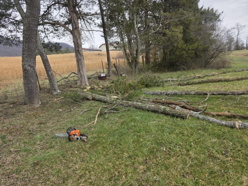 Gallery 03.27.2025 (53)