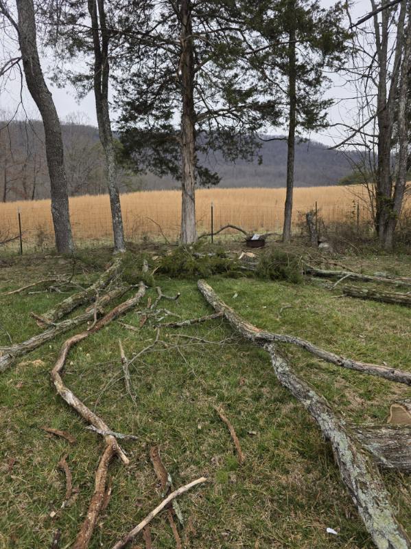 Gallery 03.27.2025 (56)