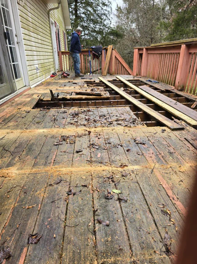 Gallery 03.27.2025 (6)