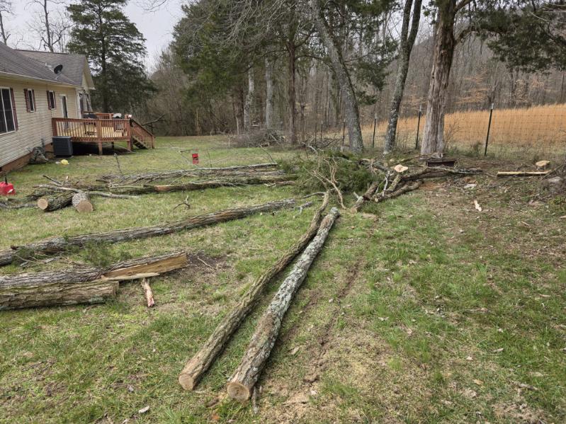 Gallery 03.27.2025 (62)